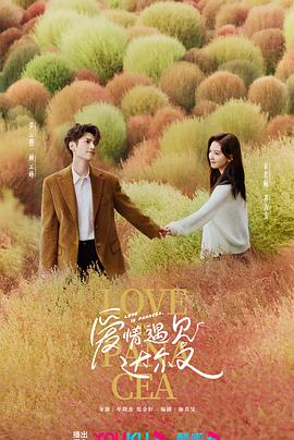 城东社区seo优化